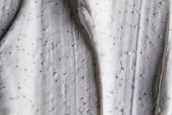 Académie Clean Phyto-Gommage Marin 50 ml