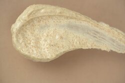 Académie Aromathérapie Crème Exfoliante 50 ml