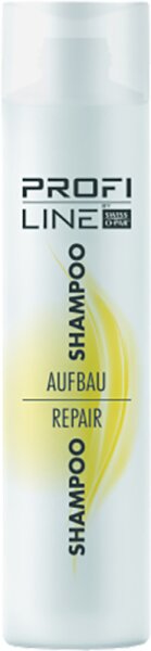 4104260510746 - Profi Line Haarpflege Aufbau Shampoo 300 ml 4104260510746 - Profi Line Haarpflege Aufbau Shampoo 300 ml