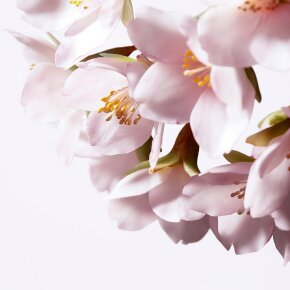 Shiseido White Lucent Illuminating Micro-S Serum 50 ml