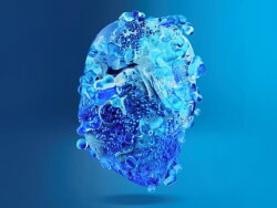 Biotherm Biocorps Body Milk 400 ml