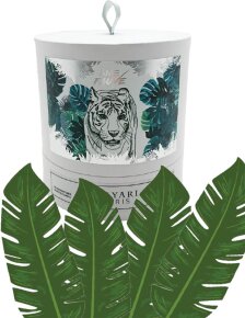 Hayari Âme Fauve Duftkerze 180 g