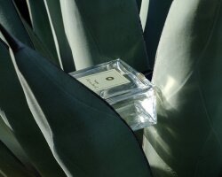 Une Nuit Nomade Sun Bleached Eau de Parfum (EdP) 100 ml