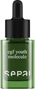 Sepai Elixir Youth Molecule EGF Serum 15 ml Sepai Elixir Youth Molecule EGF Serum 15 ml
