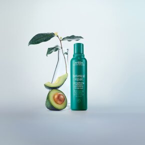Aveda Botanical Repair Strengthening Shampoo 200 ml