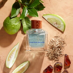 Hollister Canyon Escape for Him Eau de Toilette (EdT) 30 ml