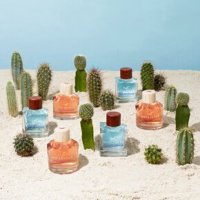 Hollister Canyon Escape for Him Eau de Toilette (EdT) 30 ml