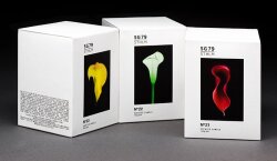 SG79 | STHLM No. 23 Yellow Duftkerze 145 g