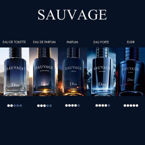 DIOR Sauvage Eau de Toilette (EdT) Refill Flakon 300 ml