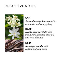 Molton Brown Flora Luminare Handlotion 300 ml