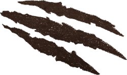 ALL TIGERS Eyeshadow 3 g 303 Dunkelbraun 