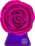 Bond No.9 New York Spring Fling Eau de Parfum (EdP) 100 ml