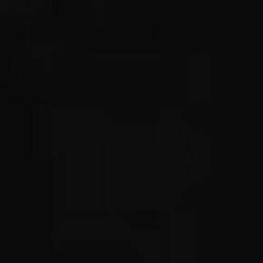 Efalock Färbeschalen Rainbowl Schwarz