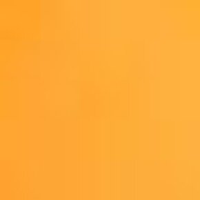 Efalock Färbeschalen Rainbowl Orange