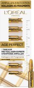 L'Oréal Paris Age Perfect 7 Tage Kur Pro-Kollagen Experte Straffende Ampullen 7 ml