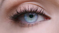 Maybelline New York Lash Sensational Voller-Wimpern-Fächer Mascara Very Black Mascara 9,5ml