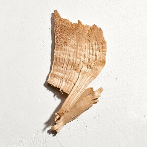 Jil Sander Sun Men Parfum Eau de Parfum (EdP) 75 ml