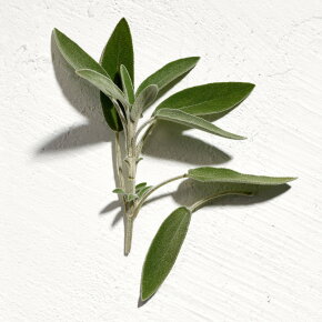 Jil Sander Sun Men Parfum Eau de Parfum (EdP) 75 ml