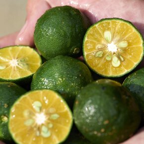 Shiseido WASO Shikulime Gel-to-Oil Cleanser 125 ml