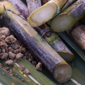 Shiseido WASO Satocane Pore Purifying Scrub Mask 80 ml