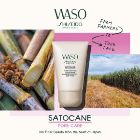 Shiseido WASO Satocane Pore Purifying Scrub Mask 80 ml