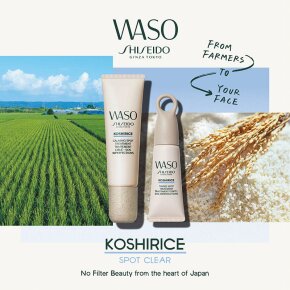 Shiseido WASO Koshirice Tinted Spot Treatment Golden Ginger 8 ml