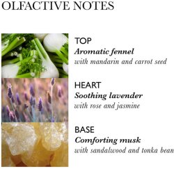 Molton Brown Intense Repairing Hair Mask with Fennel 250 ml