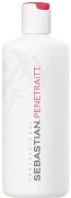 Sebastian Penetraitt Pro Masque 500 ml