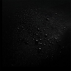 Sebastian Flaunt Trilliant 150 ml