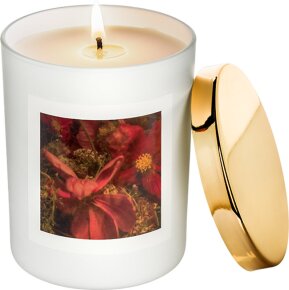 M.Micallef Bougie Parfumee Douce Parenthese 180 g