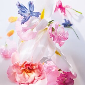 DIOR Miss DIOR Eau de Parfum Roller Pearl 20 ml