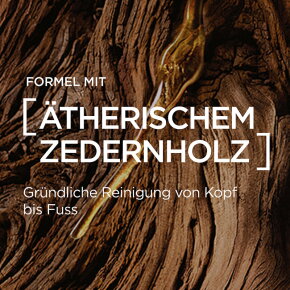 L'Oréal Men Expert Barber Club Festes Shampoo 80 g