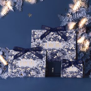 Ihr Geschenk - DIOR XMAS Clutch + Mini-Lippenstift