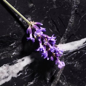 Joop! Homme Le Parfum 75 ml