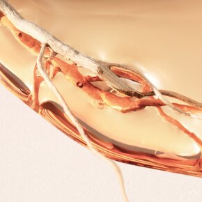 Hugo Boss Alive Intense Eau de Parfum (EdP) 80 ml