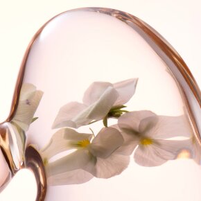 Lancaster Skin Essentials Softening Perfecting Toner 400 ml