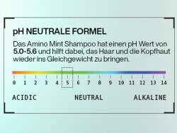 Redken Amino Mint Shampoo 300 ml