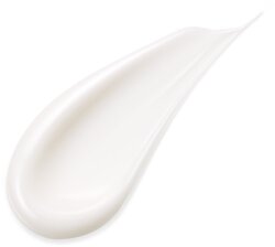 SENSAI Absolute Silk Illuminative Cream 40 ml