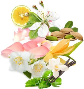 Trussardi Pure Jasmine Eau de Parfum (EdP) 90 ml