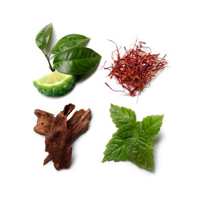 Brioni Intense Eau de Parfum (EdP) 100 ml