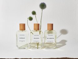 Roos & Roos Paris Bel Absinthe Eau de Parfum (EdP) 100 ml