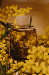 Gas Bijoux Sea Mimosa Eau de Parfum (EdP) 100 ml