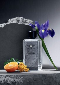 Bentley Momentum Unbreakable Eau de Parfum (EdP) 100 ml