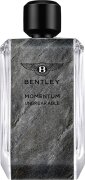 Bentley Momentum Unbreakable Eau de Parfum (EdP) 100 ml Bentley Momentum Unbreakable Eau de Parfum (EdP) 100 ml