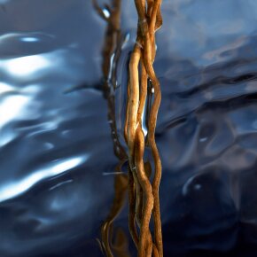 Davidoff Cool Water Reborn Eau de Toilette (EdT) 75 ml