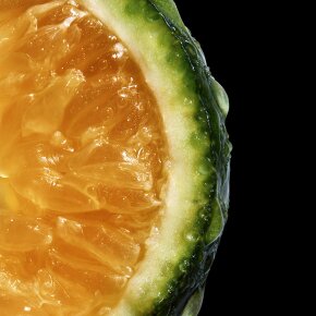 Davidoff Cool Water Woman Reborn Eau de Toilette (EdT) 50 ml