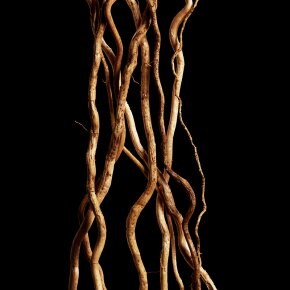 Davidoff Cool Water Woman Reborn Eau de Toilette (EdT) 100 ml