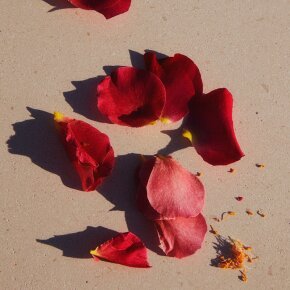 Jil Sander Sunset Eau de Parfum (EdP) 75 ml