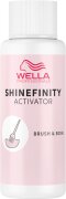 Wella Professionals Shinefinity Activator Brush & Bowl 2%