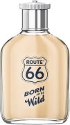 Route 66 Born to be Wild Eau de Toilette (EdT) 100 ml Route 66 Born to be Wild Eau de Toilette (EdT) 100 ml